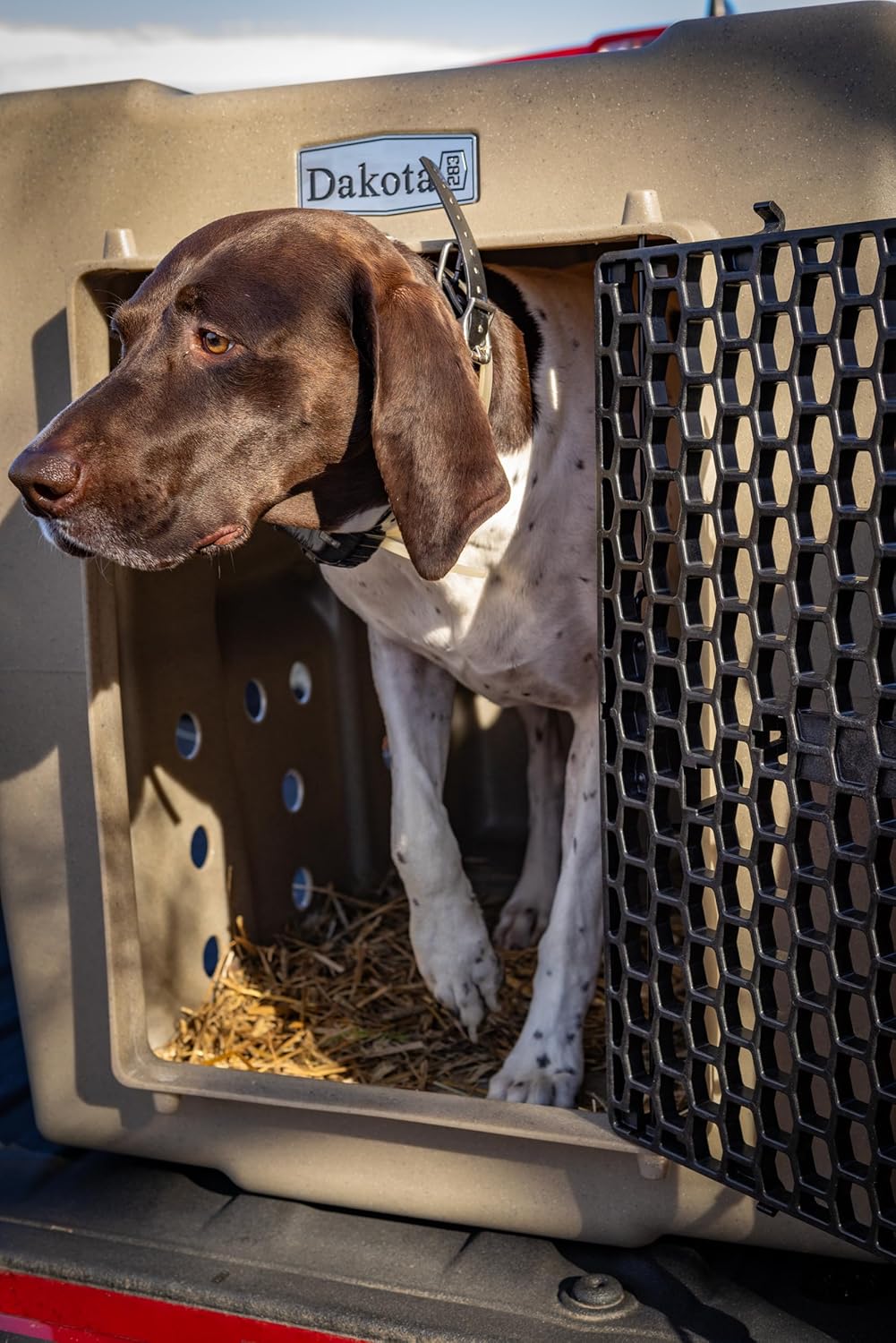 Dakota 283 Crate - Canine Rough and Tough Economy Kennel (Coyote Granite, Large)