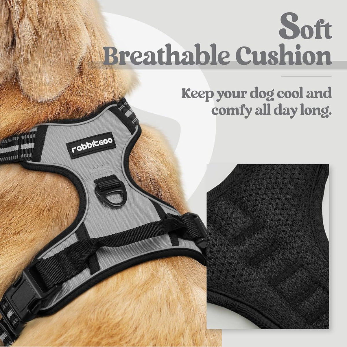 rabbitgoo Dog Harness No Pull with 2 Leash Clips, Adjustable Soft Padded, Reflective Oxford No Choke Pet Vest with Easy Control Handle for Small Dogs, Grey, S