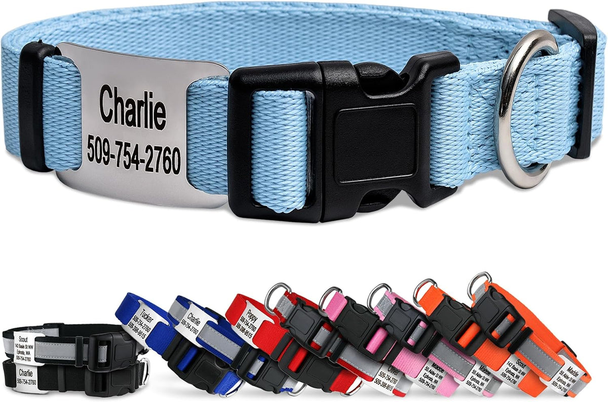 GoTags Personalized Dog Collar with Nameplate, Adjustable Dog Collar with Custom Engraved Slide On Pet ID Tag in Stainless Steel, Silent, No Noise Dog Tag (Light Blue, Large)