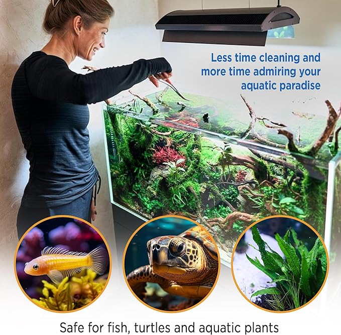 Fish Tank Rocks for Enhancing Water Clarity with Your Regular Cleaning Routine, Fish Friendly Aquarium Rocks, All Natural Aquarium Decor - Large - Covers Upto 3500 Gallons