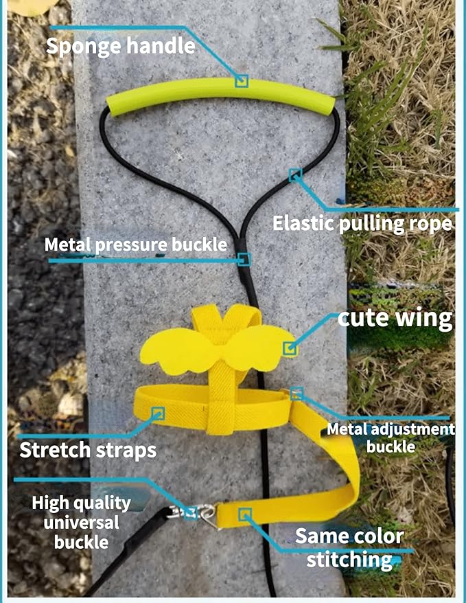 Pet Parrot Bird Harness Leash Adjustable Bird Flying Harness Traction Rope with Cute Wing for Parrots Pigeons Budgerigar Lovebird Cockatiel Mynah Outdoor Training Toy (XL, Blue)
