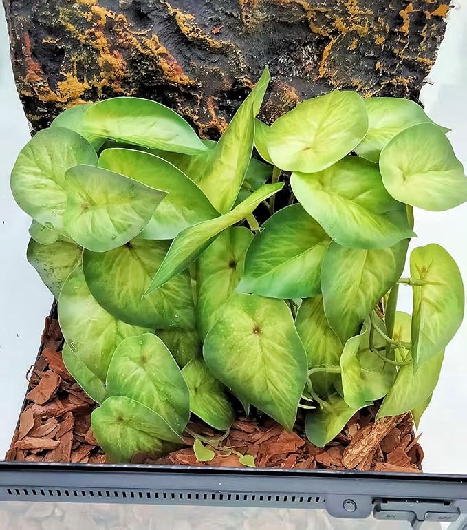 Reptile Plants for Terrarium Decor, Amphibian Habitat Decor, Snake Tank Accessories, Artificial Hanging Plants with Suction Cup-2 Packs (Arrowhead)