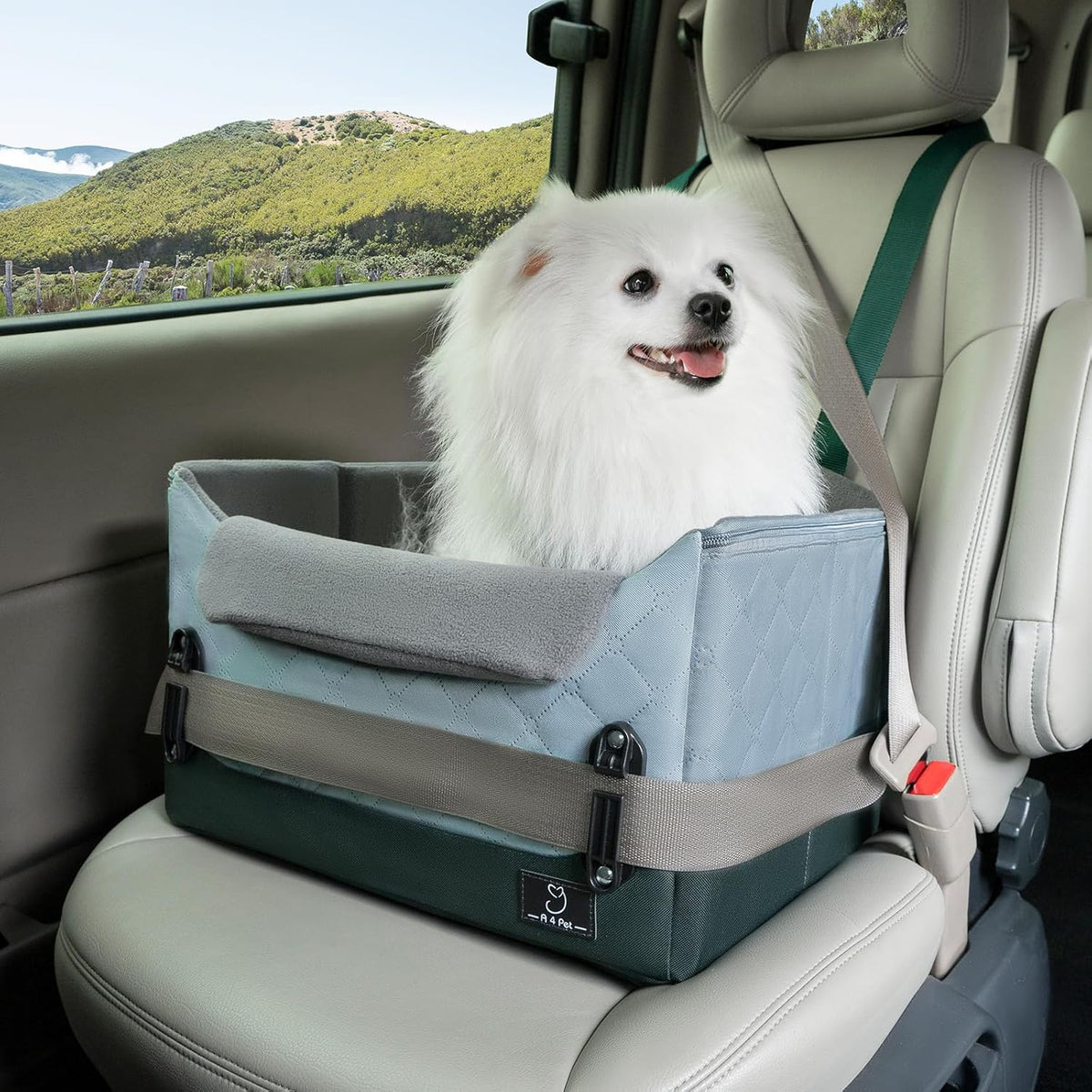 A 4 Pet Dog Car Seats for Small Dogs, Booster Car Seat with Patent Buckles & Clip-On Safety Leash, Pet Seat for Puppy Small Dogs Cats Under 25 Lbs, Green