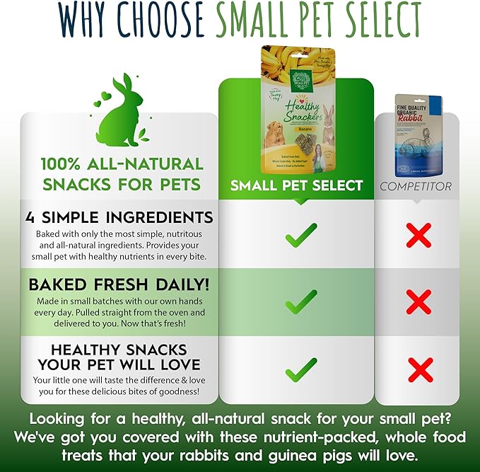 Small Pet Select - Healthy Snackers - Banana (Pack of 2)