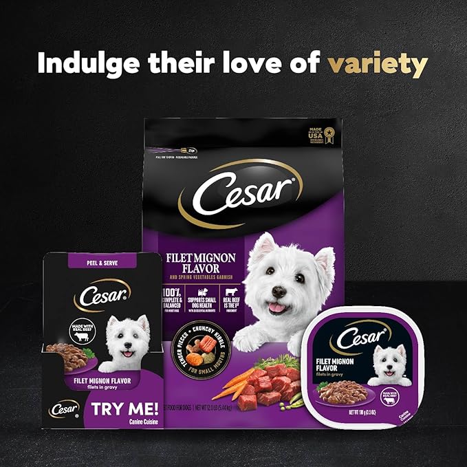 Cesar Filets in Gravy Wet Dog Food Filet Mignon Flavor, 1.76 oz. Mini-Pouch (20 Count, Pack of 1)