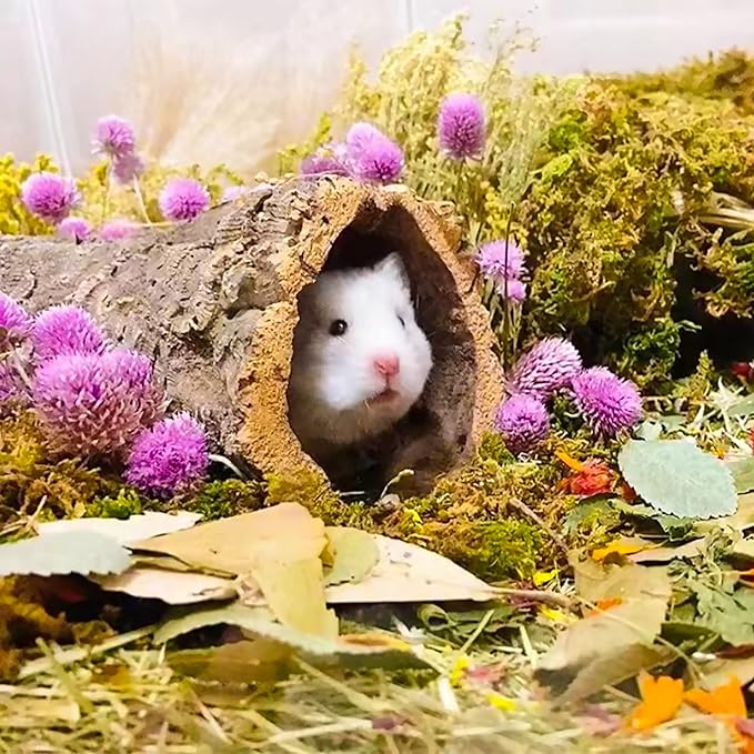 Natural Ear of Grain Flower&Herb Bedding Mate Habitat Decor, Adding Fun Hamster Accessories for Hamsters Gerbils Lemming