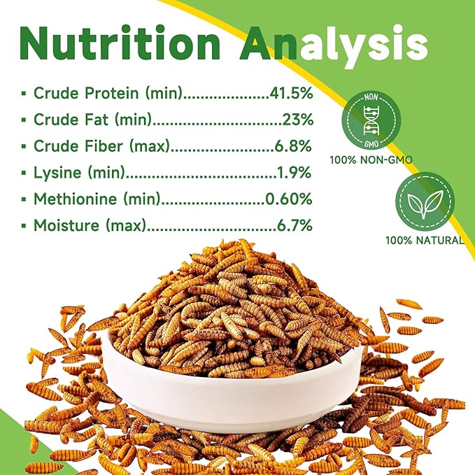 5LB Dried Black Soldier Fly Larvae Treat for Chicken, 100% Natural Non-GMO More Calcium Than Dried Mealworms High Protein Chicken Feed for Birds, Ducks, Layer Hens