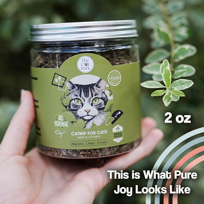 Organic Catnip for Cats & Kittens – 1.76 oz Premium Natural Catnip, High Potency Blend for Playtime, Training, and Stress Relief, 2 Cups of Dried Cat Nip Leaves