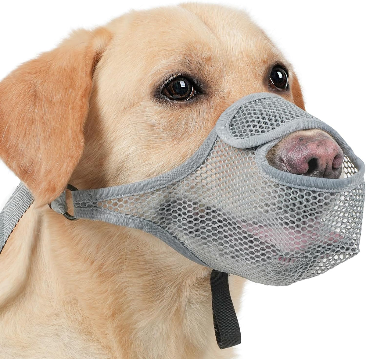 LUCKYPAW Dog Muzzle for Large Medium Small Dogs, Patented Mesh Muzzle to Prevent Biting Chewing Eating, Soft Mouth Guard with Front Opening Design for Drinking Panting(Grey, XXL)