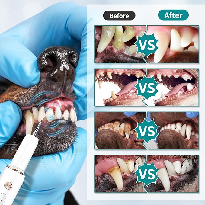 Dog Plaque Tartar Remover, Electric Toothbrush Teeth Cleaner Dental Care Kit for Dogs Cats- 5 Modes LED IPX6 Waterproof Auto-Stop Gum Protection USB Charge, 3 Brush Heads, Pet Teeth Cleaning Tools