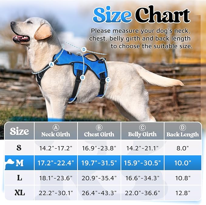 rabbitgoo Escape Proof Dog Harness, Soft Padded Full Body Pet Harness, Reflective Adjustable No Pull Vest with Lift Handle and Leash Clip for Large Dogs Walking Hiking Training, M, Blue