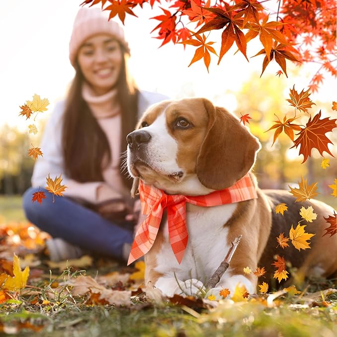 Abbylike 50 Pcs Fall Plaid Dog Bandanas Bulk Autumn Bandanas for Dogs Triangle Kerchief Bibs Scarf for Small Medium Large Pets Thanksgiving Costume Accessories, 25 Styles (25.6 x 17.7 x 17.7 Inch)