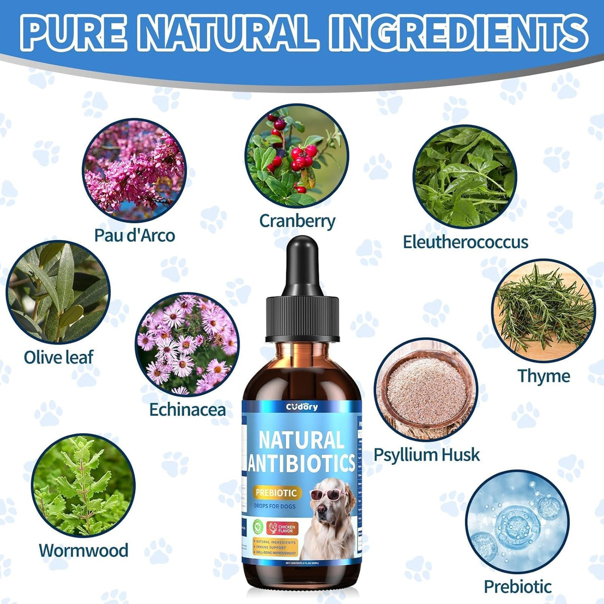 Natural Antibiotics for Dogs, Herbal Dog Antibiotics Supplement with Prebiotics for Dog Allergy Itch Relief Cough Immune Support Dog UTI Comfort for All Breeds and Ages-Chicken Flavor | 2 fl oz