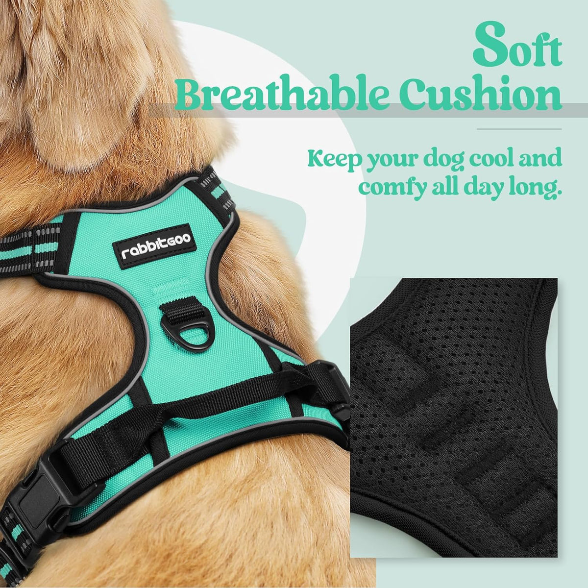 rabbitgoo Dog Harness No Pull with 2 Leash Clips, Adjustable Soft Padded, Reflective Oxford No Choke Pet Vest with Easy Control Handle for Large Dogs, Turquoise, L