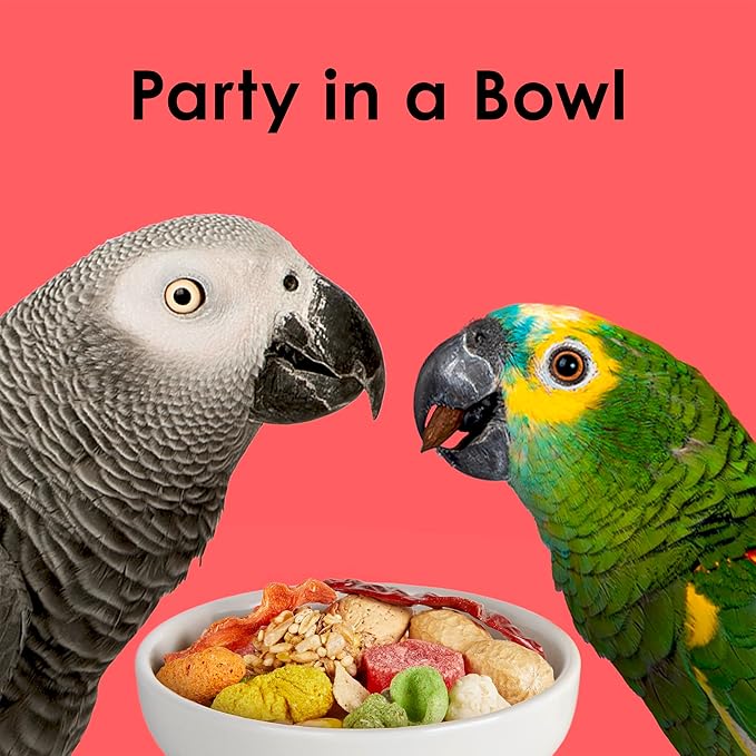 Kaytee Fiesta Parrot Food, Nutritious and Fun Blend, Supports Skin, Feather, Digestion, Brain and Heart Health, 2.5 pounds