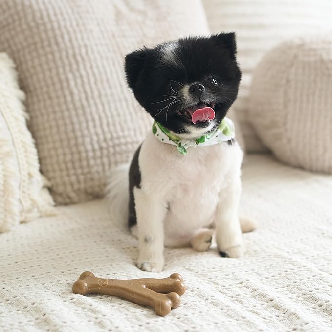 SPOT Bam-Bones Wishbone - Made with Strong Bamboo Fiber, Durable Long Lasting Dog Chew for Light to Moderate Chewers, Great Toy for Adult Dogs & Teething Puppies Under 30lbs, 5.25in, Chicken Flavor