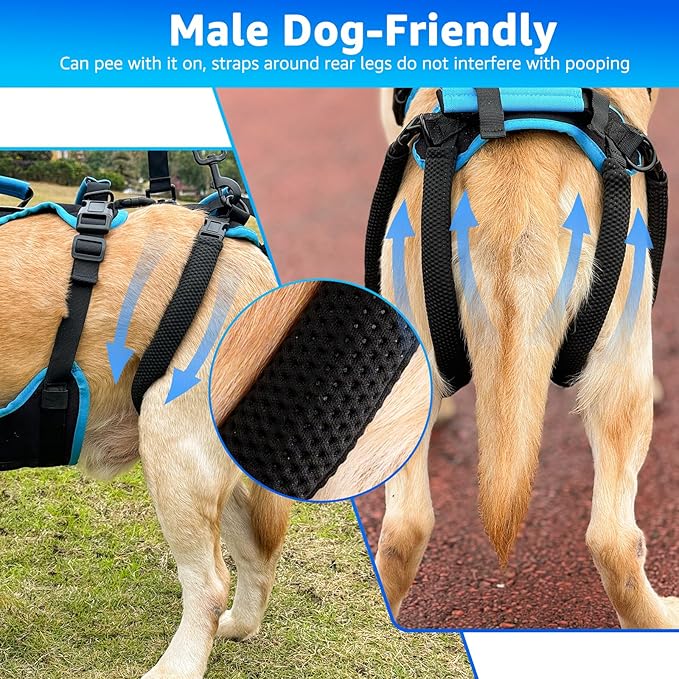 Dog Lift Harness for Medium Male Dogs Friendly, 2 in 1 Detachable Support Harness, Full Body Dog Carrying with 4 Handles for Old/Disabled/Joint Injuries Dogs (Black, Medium)
