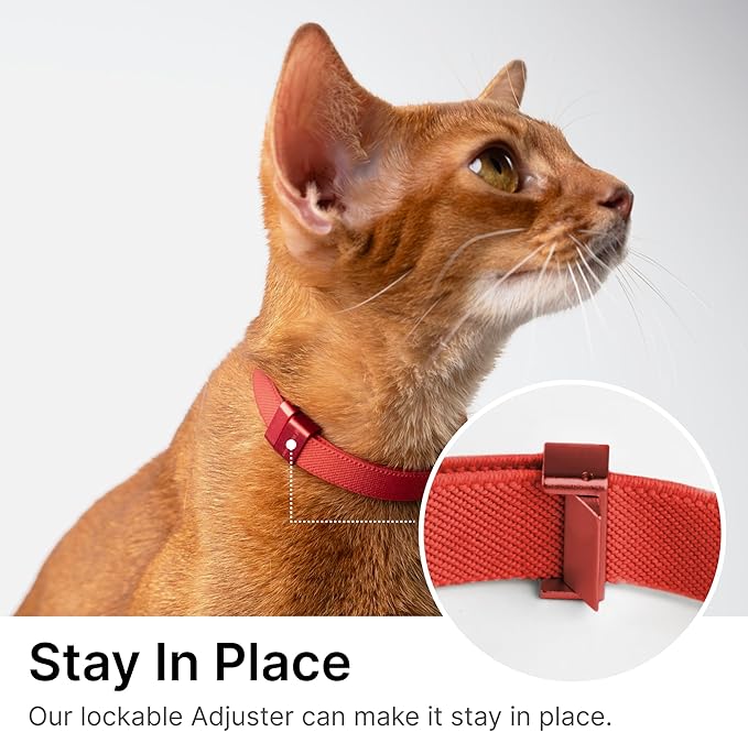 Safety Cat Collar Pro - U.S. IDA Gold Awarding Design, Elastic Quick Release Cat Collar with Buckle Non Breakaway - Lightweight for Kitten All Small Large Cats (Linen, M 7.9-15.7")