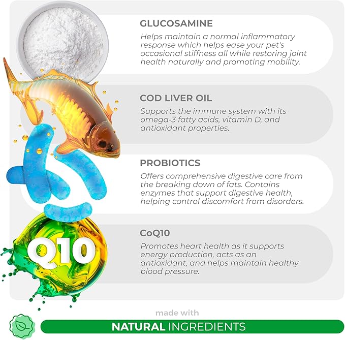 10 in 1 Multivitamin for Dogs - Glucosamine Chondroitin for Joint Support + Digestive Enzymes & Probiotics - Cod Liver Oil & Vitamins with Coq10 for Skin & Heart Health, Gut & Immune Support