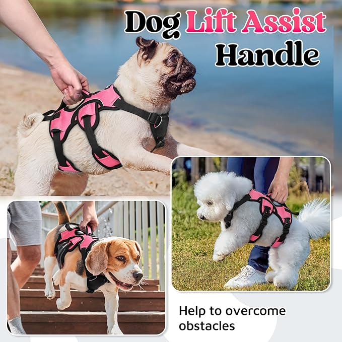 rabbitgoo Escape Proof Dog Harness, Soft Padded Full Body Pet Harness, Reflective Adjustable No Pull Vest with Lift Handle and Leash Clip for Large Dogs Walking Hiking Training, S, Pink