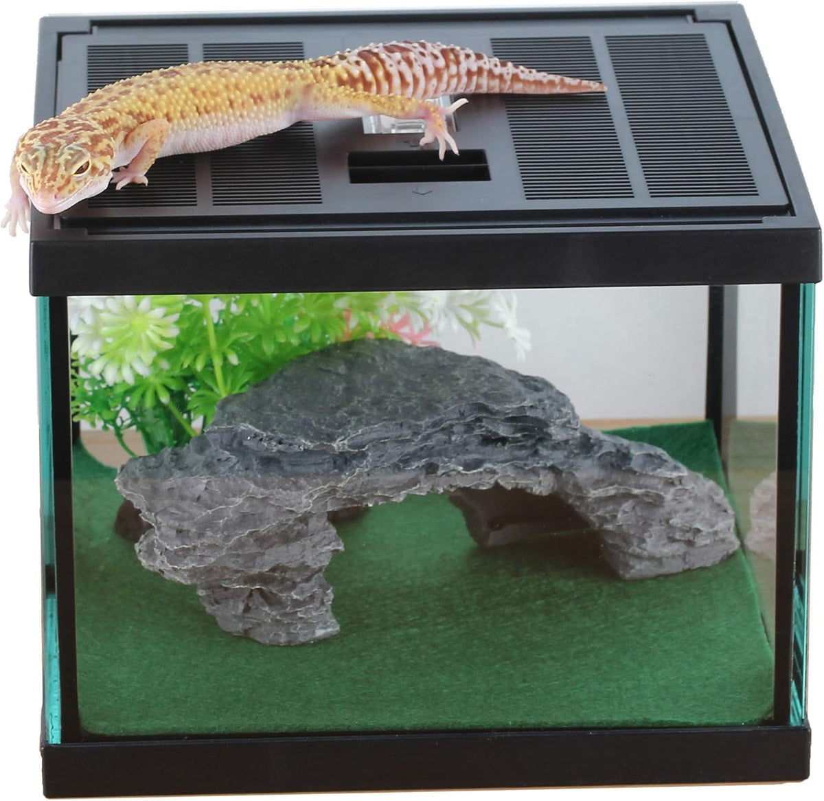crapelles Glass Lizard Tank, Spider Box Kit, 7.8x7.8x5.9'' Tarantula Feeder Insects Beetle Habitat, Amphibians Terrarium for Small Pet, with Washable Mat, Resin Rock Shape Hideout, Artificial Flower