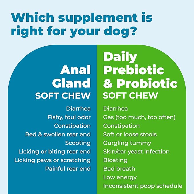 Vetnique Glandex Daily Probiotics for Dogs with Prebiotics to Support Gut Health with Fiber and Digestive Enzymes, Probiotic Chews or Powders (30ct Chews, Bacon Chews)