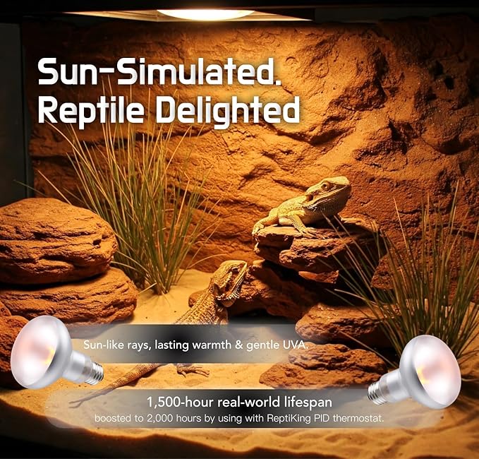 Reptile Heat Lamp, 75W 2-Pack Incandescent Basking Spotlight Bulbs for Reptiles Terrarium Tanks, Reptile Heat Bulb for Infrared Light, Bearded Dragon Heat Bulbs (75W)