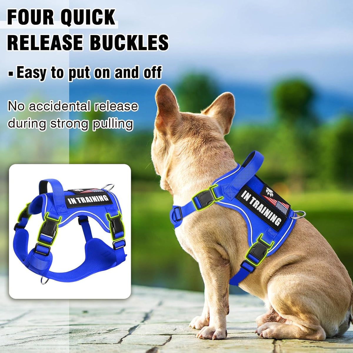 WINSEE Service Dog in Training Harness with 5 PCS Patches, Reflective Tactical Dog Vest Harness, Adjustable Soft Oxford Pet Harness with Easy Control Handle, Hook & Loop Panels for Walking Hiking
