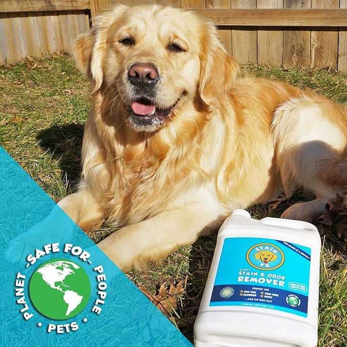 Pet Stain Odor Remover Professional Strength Powerful Eliminator for Tough Dog Cat Pet Urine Pee Poop Feces Vomit Slobber Drool Blood Wine Coffee Home Kennel Car RV Office (1 Gallon)