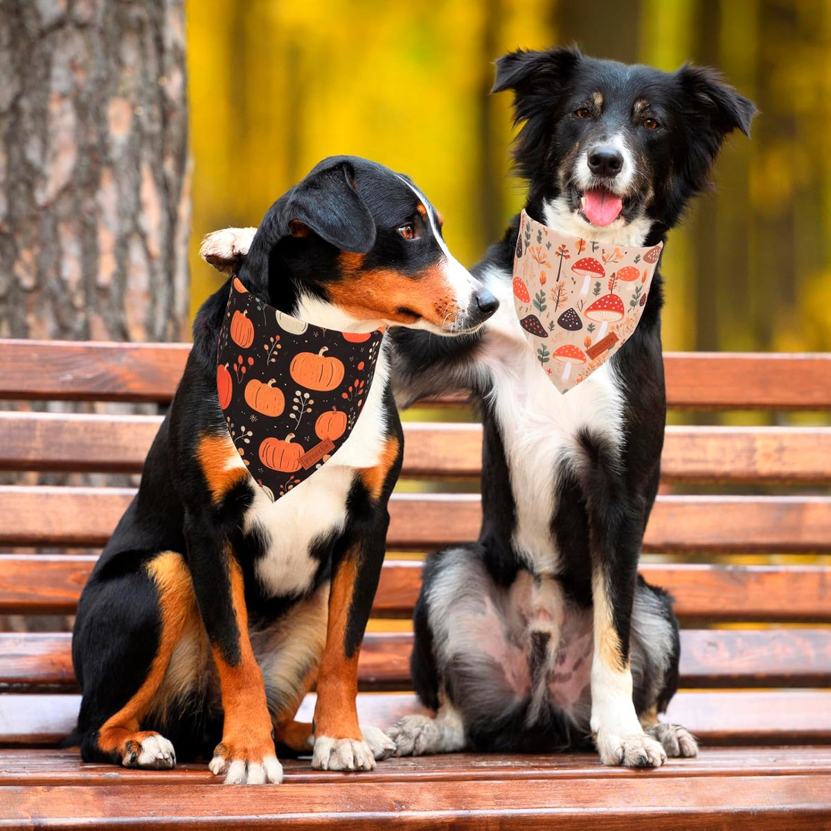 PTDECOR Fall Dog Bandana, Pumpkin Mushroom Design Scarf Reversible Holiday Dog Scarf, Triangle Thanksgiving Bandanas for Large X-Large Dogs (X-Large)