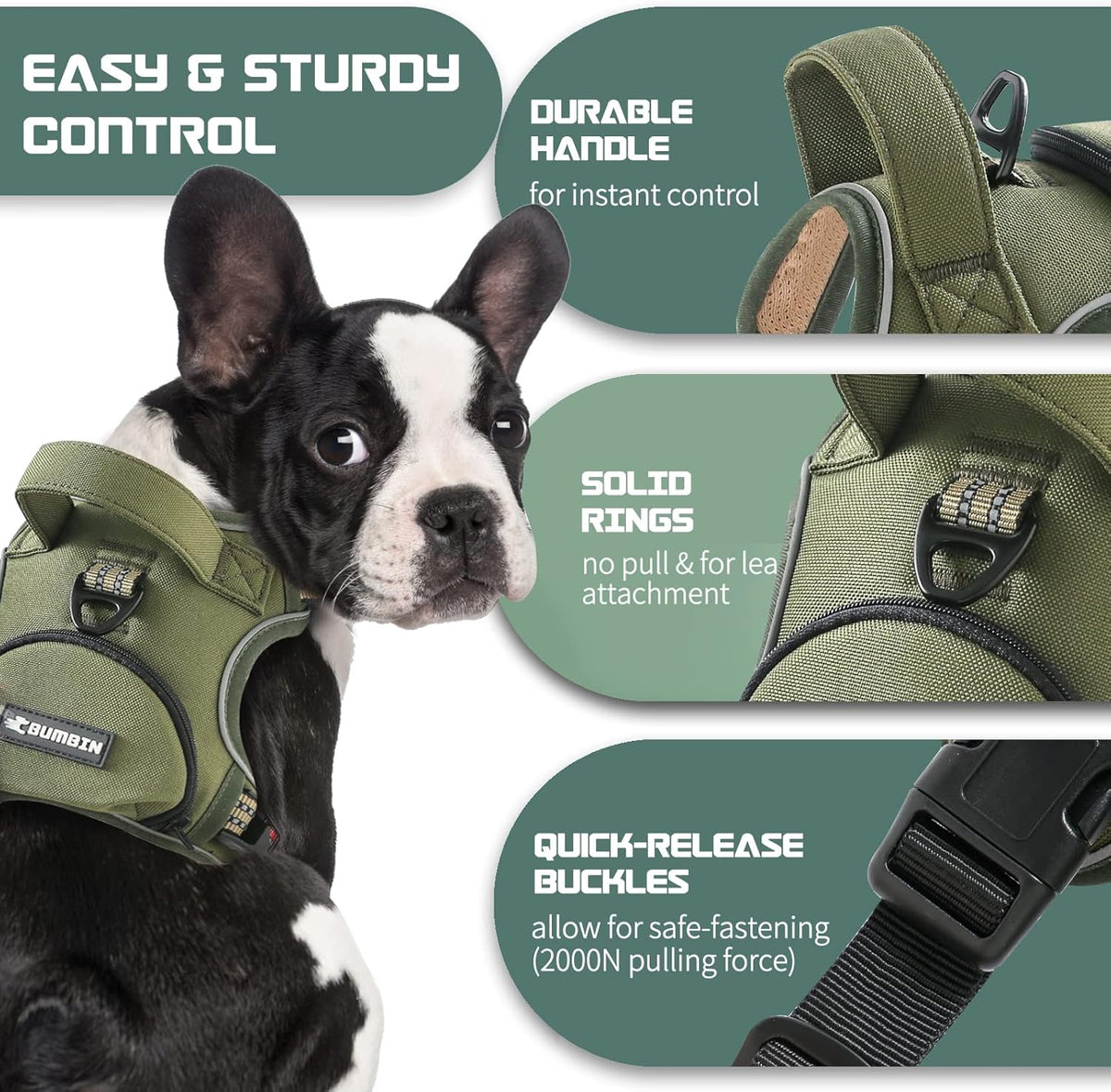 No Pull Dog Harness for Small Dogs, Adjustable No Choke Pet Vest with Dog Leash Fit Smart Reflective Pet Walking Harness for Training Easy Control Soft Handle Green S