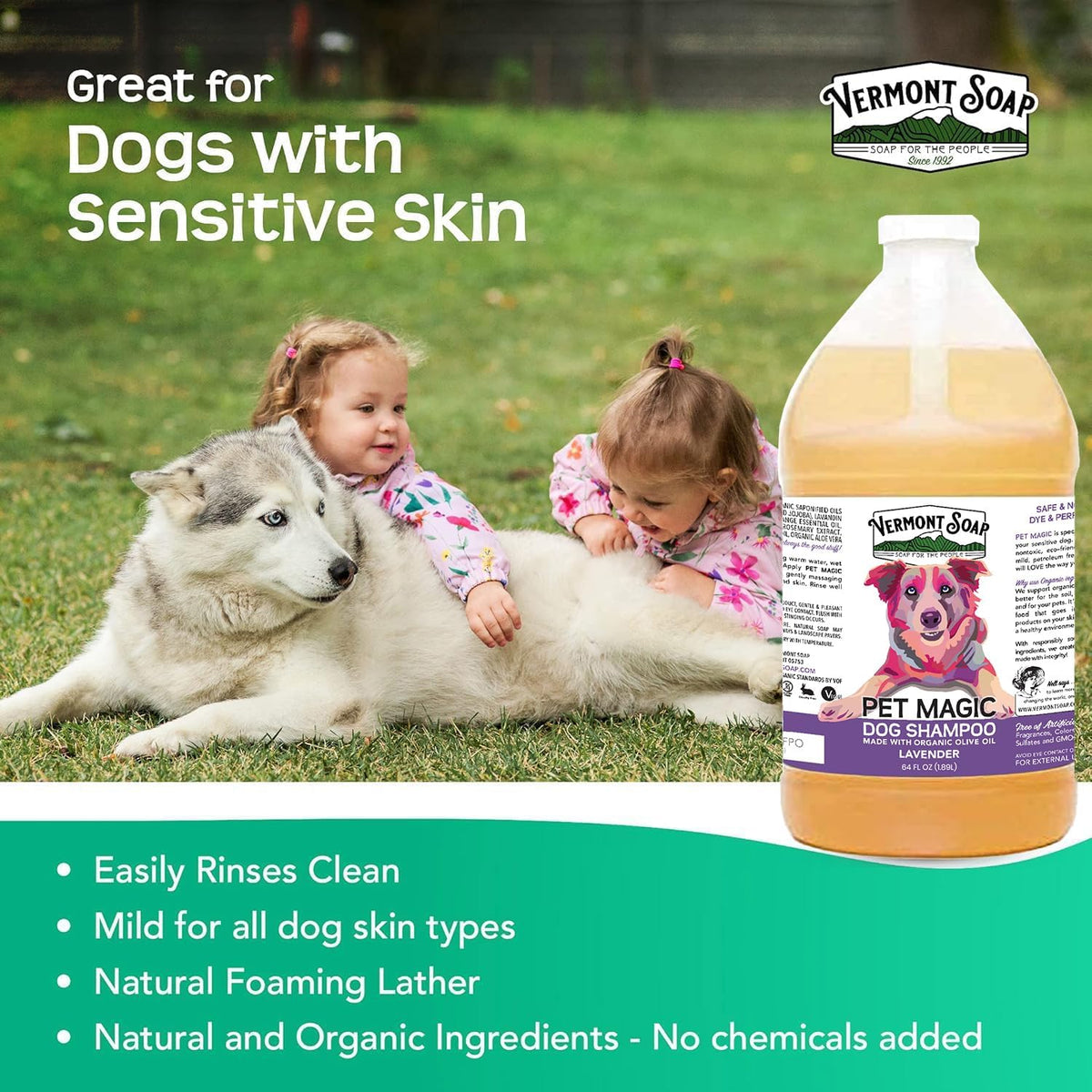 VERMONT SOAP Organics Pet Shampoo - Infused with Organic & Natural Olive Oil, Coconut & Aloe Vera Dog Shampoo for Sensitive Skin - USDA Certified Grooming, Lavender (64oz)