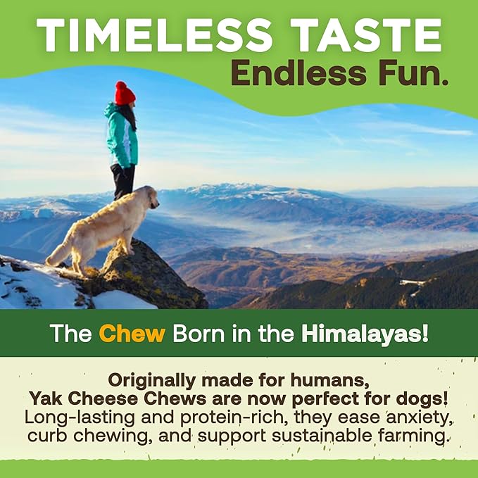 EcoKind Premium Gold Yak Cheese Himalayan Dog Chews, Dog Treats Large Breed, All Natural, High Protein, for Aggressive Chewers, Large - 10 Chews