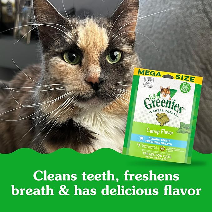 Greenies Feline Adult Dental Cat Treats, Catnip Flavor, 4.6 oz. Pack