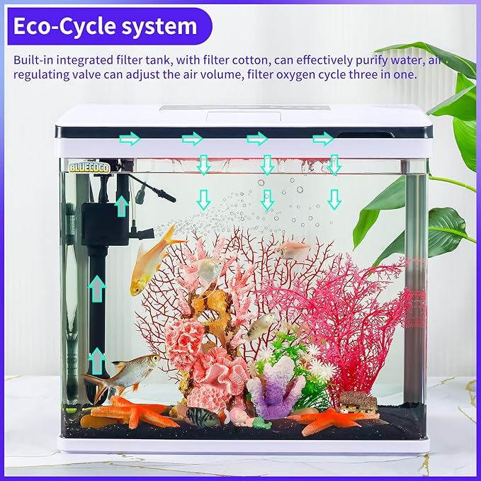 Glass Aquarium Fish Tank Starter Kit with Temperature and Time Display for Betta Fish Featuring Crystal Clear 360° Viewing, Eco-Cycle Filtration, Air Pump 12 Gallon