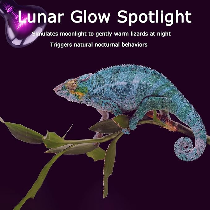 75W Reptile Night Light Bulb - Purple Basking Lamp to Simulate Natural Moonlight for Lizards, Snakes, Turtles - Basking Spot Bulb for Aquariums, Tanks, Promotes Healthy Behavior and Growth