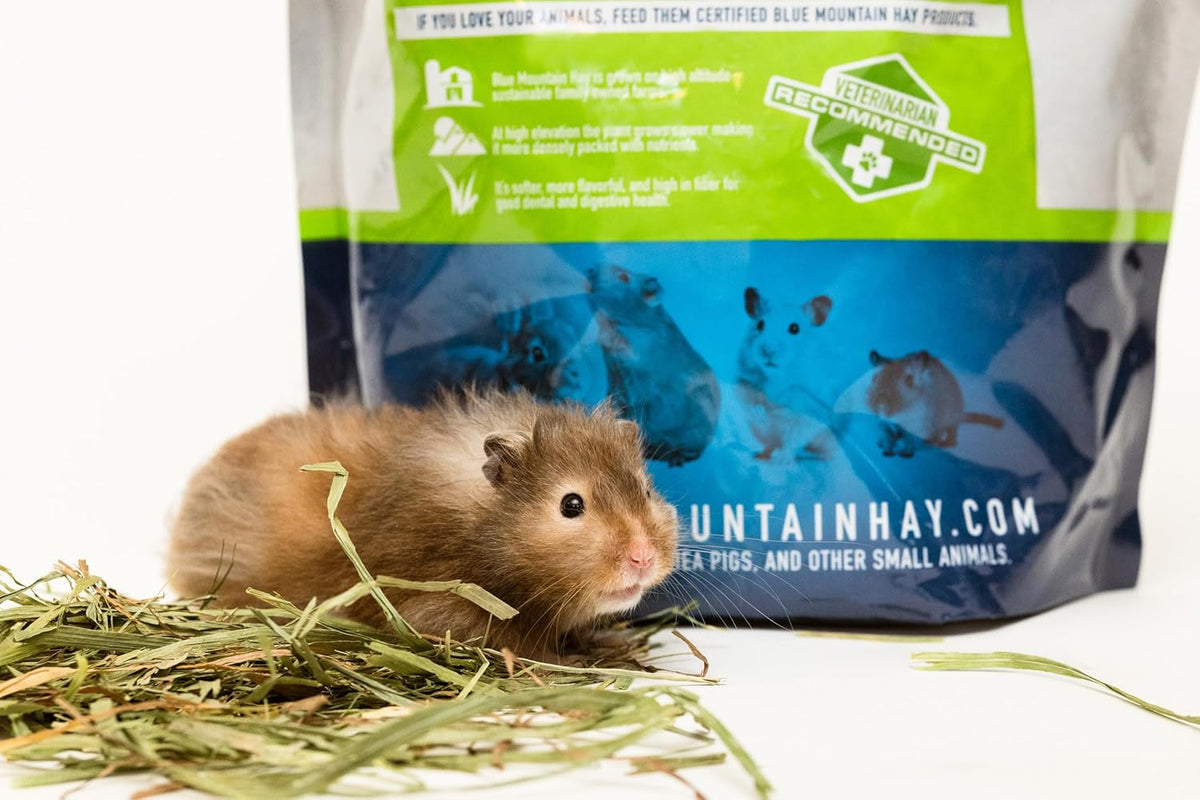 Blue Mountain Hay | Fresh Timothy Hay (40 Ounce) | Great for All Ages | High-Altitude Hay Pet Food for Rabbits, Guinea Pigs, Chinchillas, Hamsters, and Other Small Pets