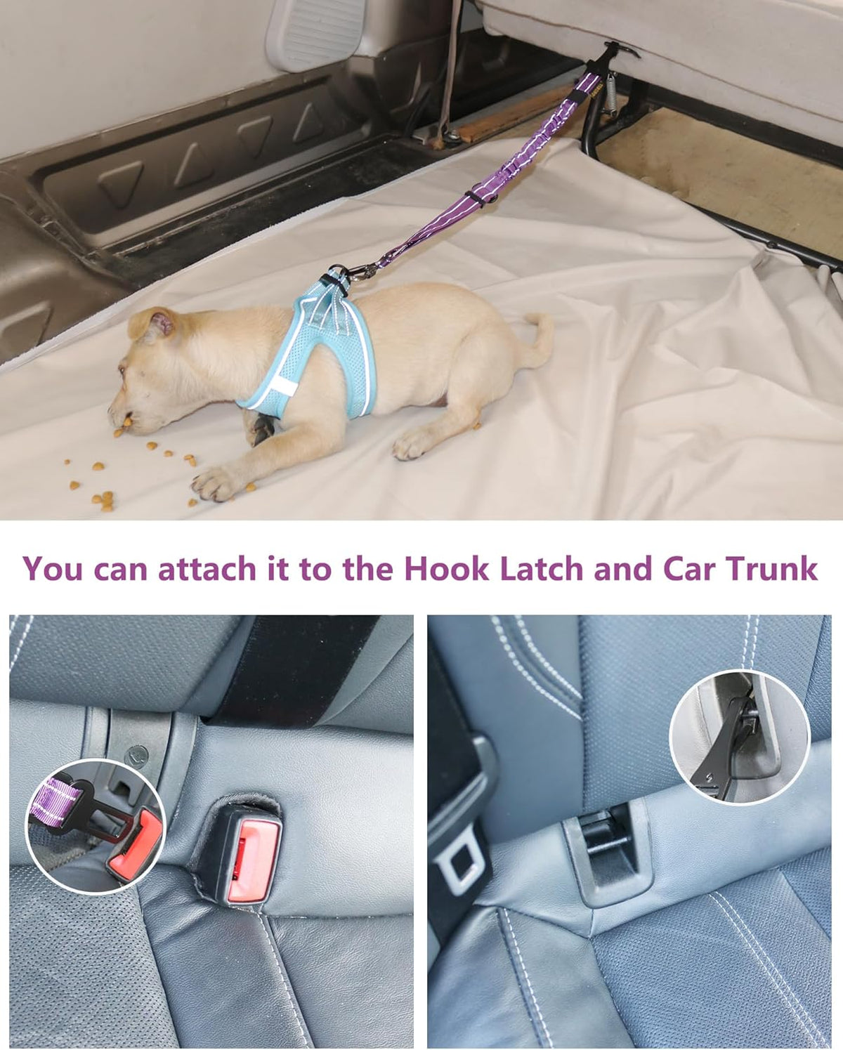 AUBELL Dog Seat Belt for Car,2 Pack Set 3-in-1 Adjustable Reflective Bungee Heavy Duty Dog Car Harness Tether with Clip Hook Latch & Buckle,Swivel Zinc Alloy Carabiner,Black+Purple