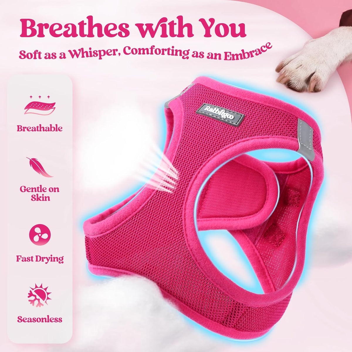 rabbitgoo Dog Harness Small Sized and Leash Set, Step in Soft Light Puppy Vest, Breathable Mesh Pet Harness, Reflective for Safe Easy Walking, Rose Red S