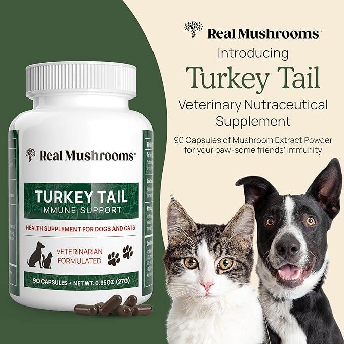 Real Mushrooms Turkey Tail Capsules for Pets –Cat Probiotics & Dog Vitamins – Organic Mushroom Supplement for Dogs & Cats – Supports Daily Balance & Well-Being Non-GMO, 90 ct