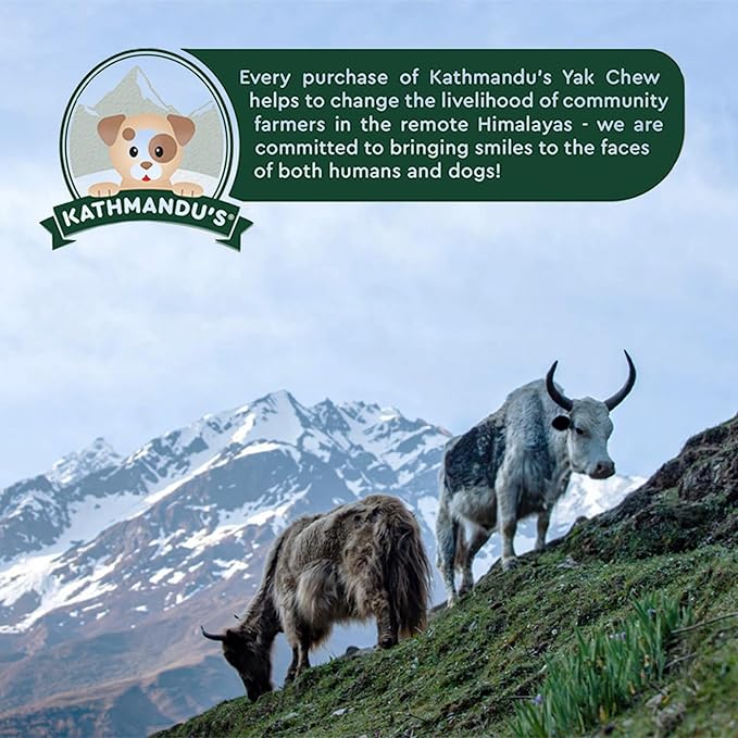 Authentic Himalayan Yak Cheese for Dogs - XXLarge (Pack of 5) - Sourced from Pristine Himalayan Foothill, Rawhide-Free, NO preservatives