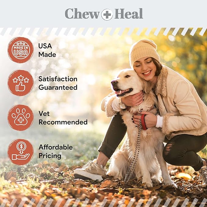 Fish Oil Omega 3 Supplements for Dogs -360 Soft Chew Treats for Skin and Coat -Salmon Oil Blend of Fatty Acids, Omega 3, 6, Vitamins, Antioxidants -Made in USA (2 Packs of 180, Salmon Flavor)