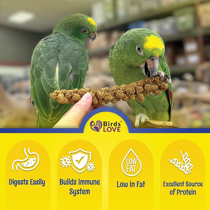 Birds LOVE Economy & Thin Special Spray Millet – 5 lb GMO-Free, No Stems (Only Edible Tops) – Healthy Treat for Cockatiels, Lovebirds, Parakeets, Finches & Canaries