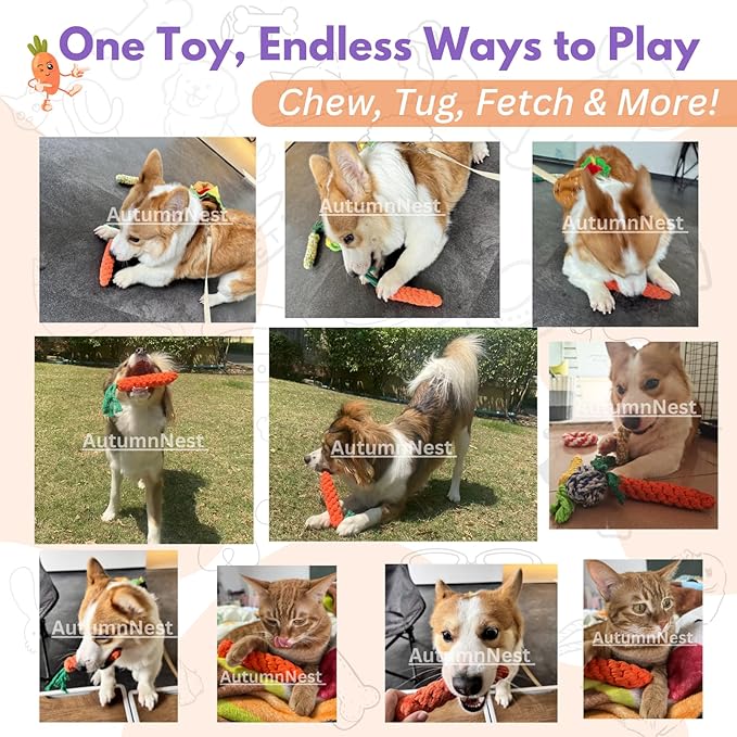 3PCS Orange Woven Pet Chew Set, Puppy Teething Chews, Dog Chew Treats, Cat Teething Playset, Safe Braided Chews for Pets, Durable & Interactive