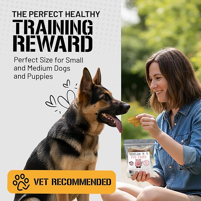 Dog Chits Pig Ears for Dogs – 100% Natural Baked Pig Ear Dog Treats & Training Chews – High Protein, Lower Fat, Grain-Free – Great for Puppies, Dental Support – Medium Size, 15 Pack – Made in USA