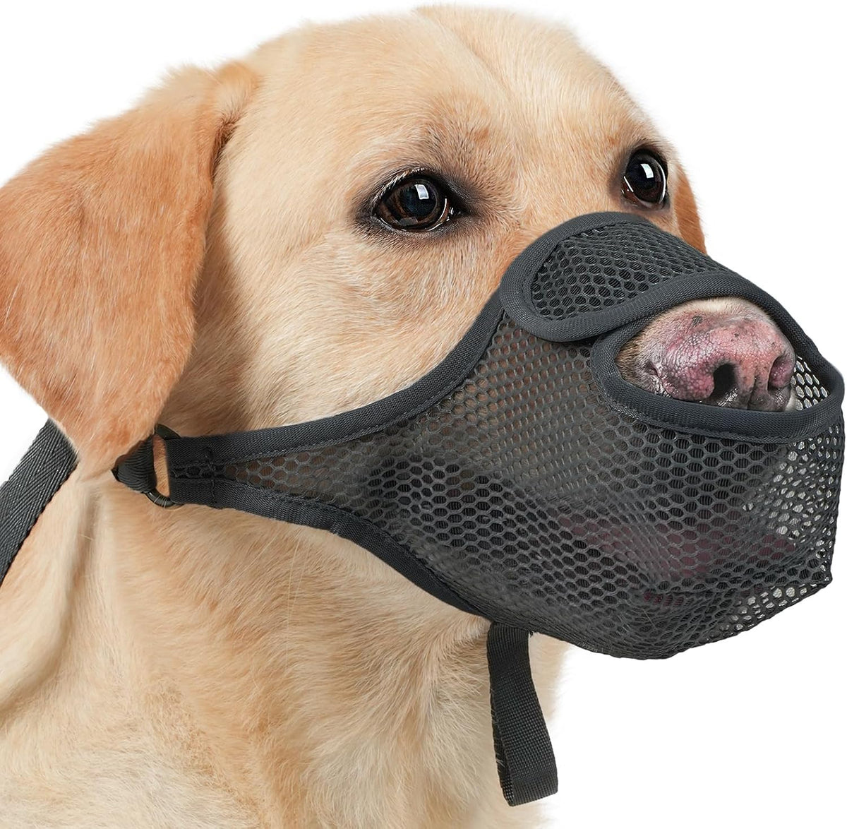 LUCKYPAW Dog Muzzle for Large Medium Small Dogs, Patented Mesh Muzzle to Prevent Biting Chewing Eating, Soft Mouth Guard with Front Opening Design for Drinking Panting (Black, XXL)