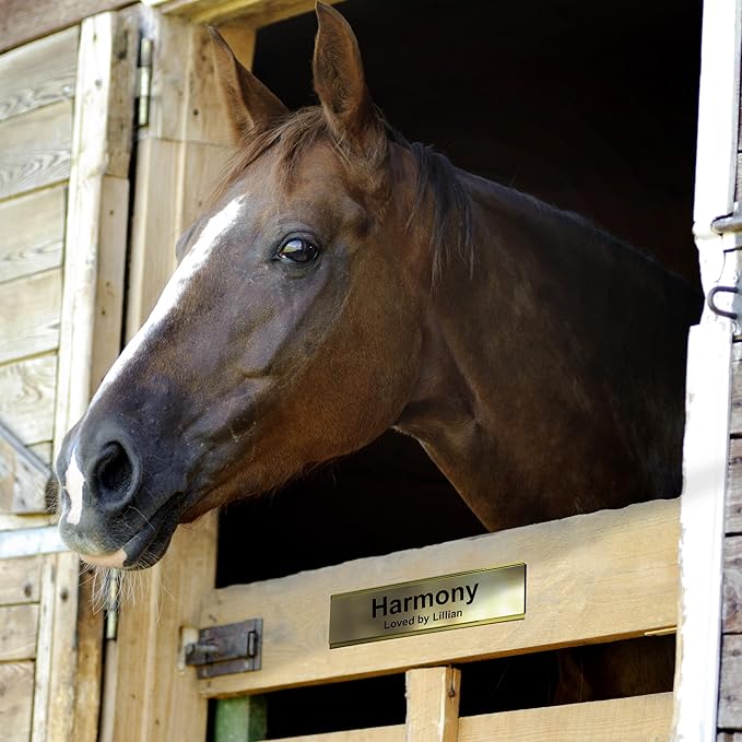 Personalized Horse Stall Name Plates, 2x12 Horse Stall Signs with Adhesive, All Weather UV Protected, Brown Plastic White Letters - Made in USA - B25