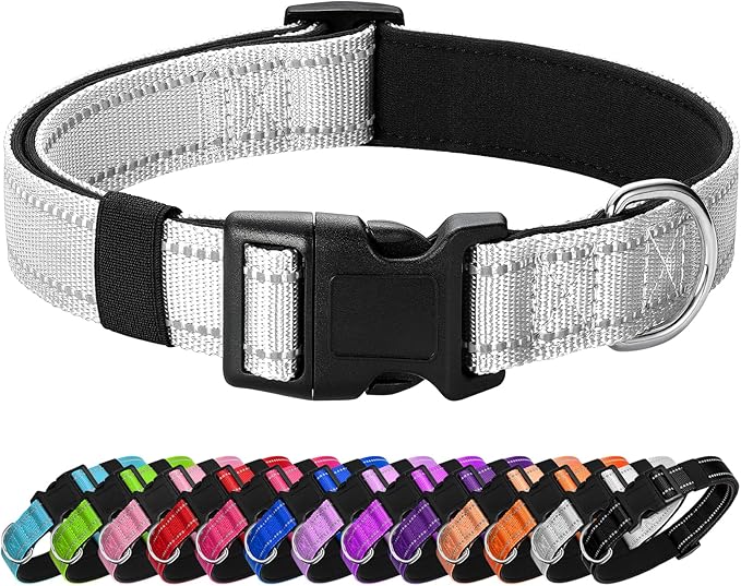 Reflective Dog Collar Padded with Soft Neoprene Breathable Quick Release Basic Dog Collars for Medium Large Dogs Boy Girl Silver