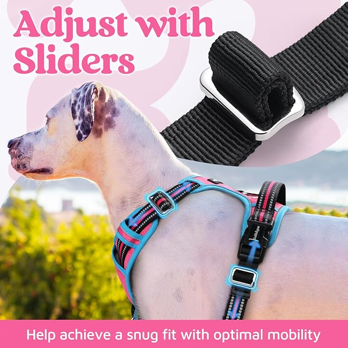 rabbitgoo Dog Harness for Large Dogs, No Pull Pet Vest with 3 Buckles, Adjustable Soft Padded Pet Harness with Easy Control Handle and Reflective Strips, Rose Pink & Blue, XL
