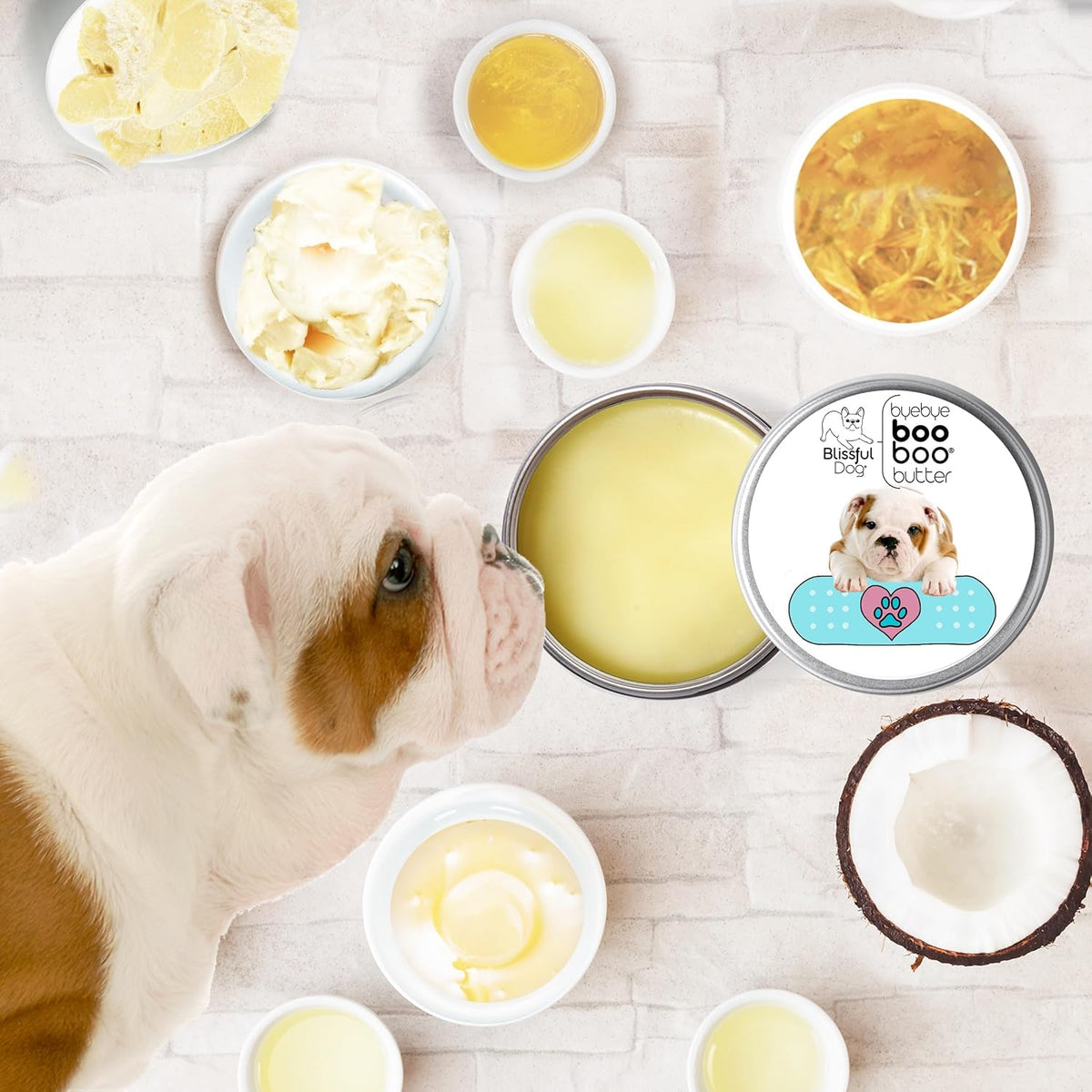 The Blissful Dog 1 oz TIN Bulldog Booboo Butter
